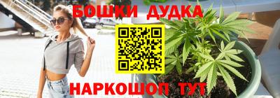 индика Усть-Илимск