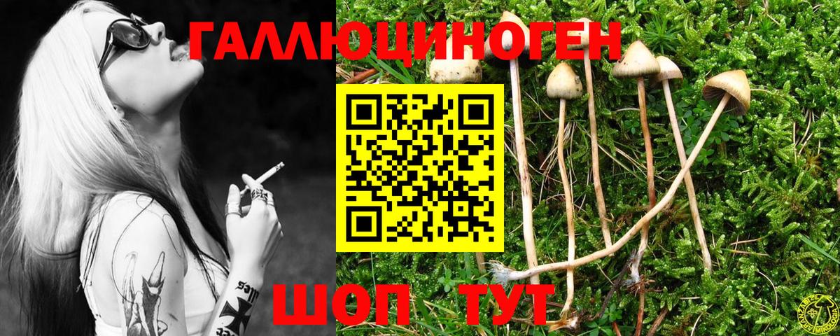 Галлюциногенные грибы Magic Shrooms  Вход с VPN  Новый Уренгой 
