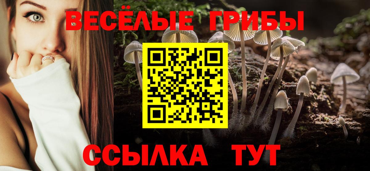 Псилоцибиновые грибы мицелий Новый Уренгой