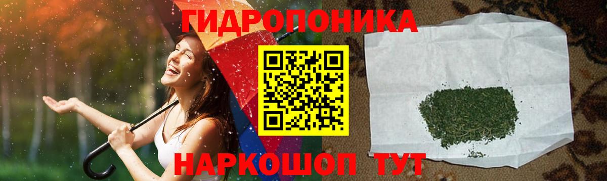 Шишки марихуана Amnesia Новый Уренгой